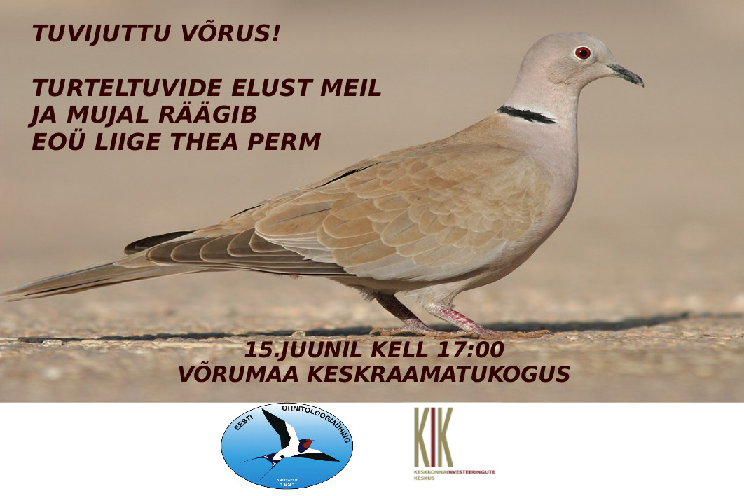 tuvi 2017