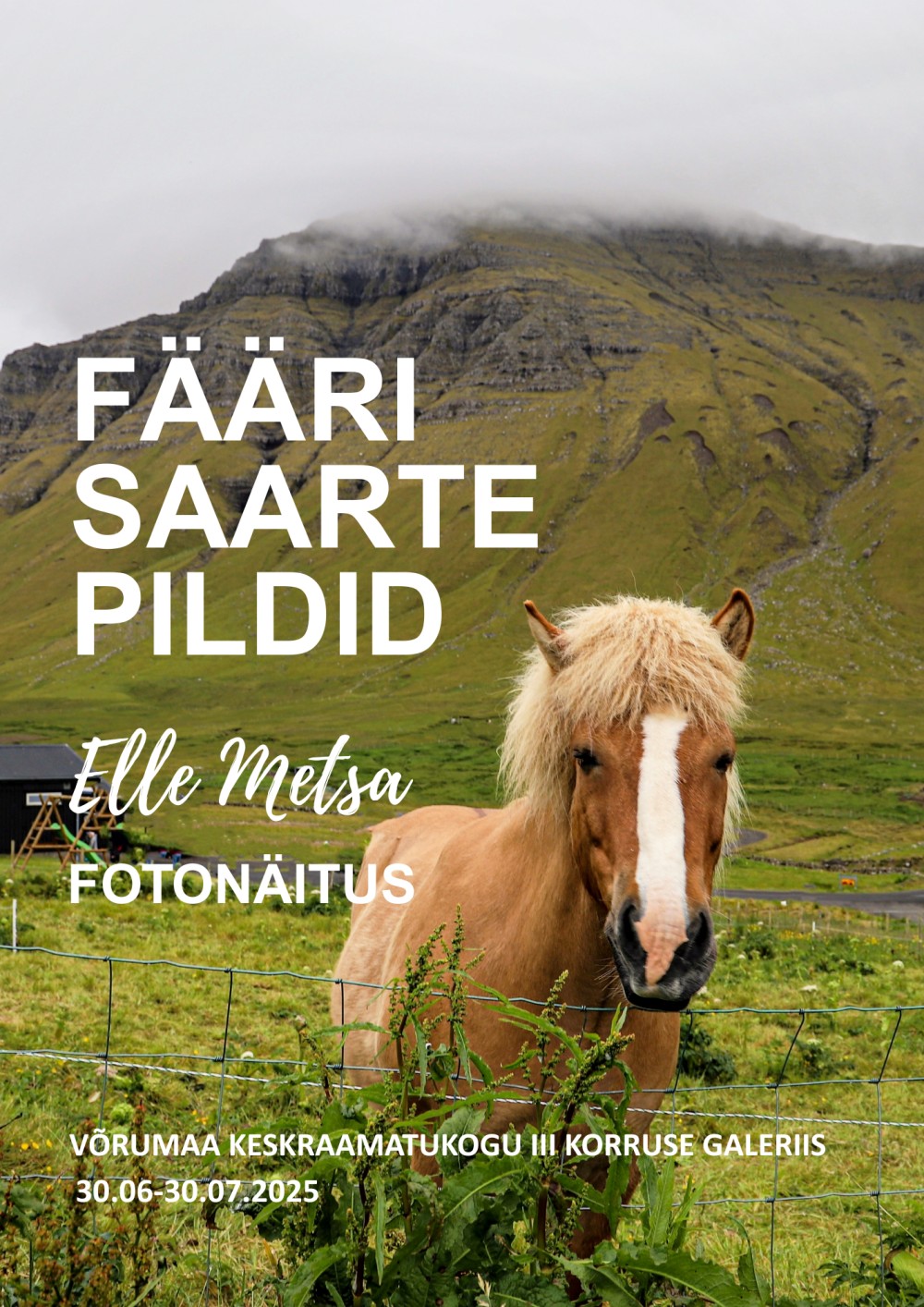Fotonäitus 