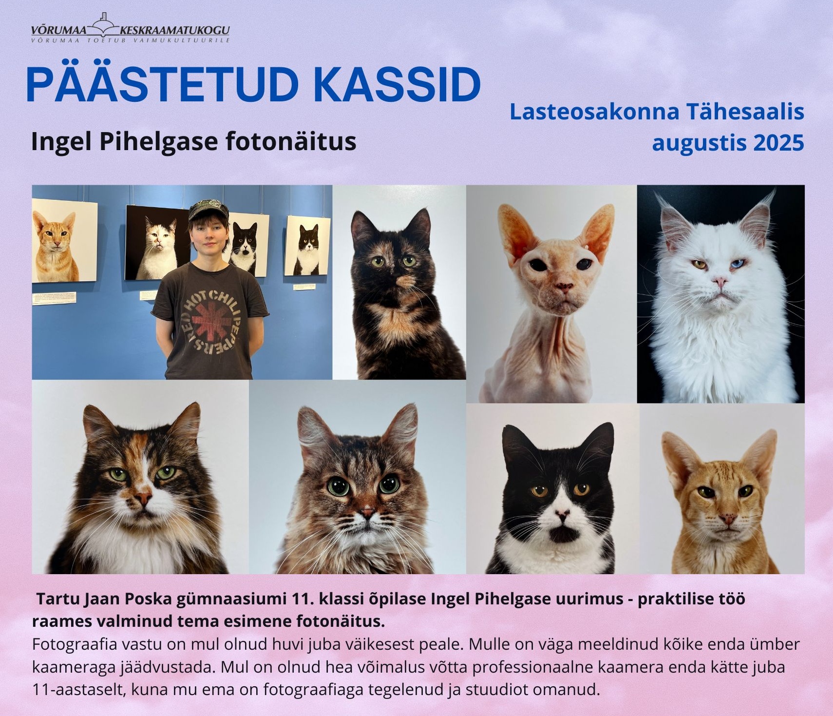 Päästetud kassid
